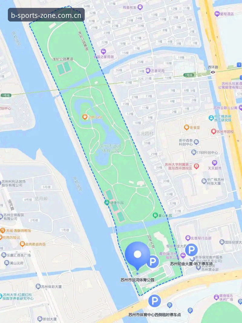2025年体育平台选择指南:B体育入口与其他平台对比分析